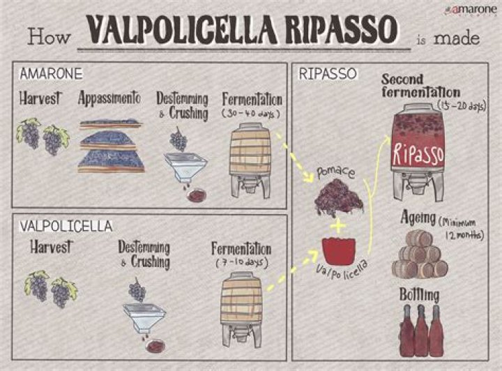 What does Valpolicella mean in English?