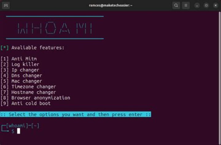 What does whoami do in terminal?