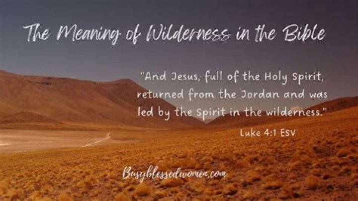 What does wilderness symbolize in the Bible?