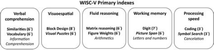 What does WISC block design measure?