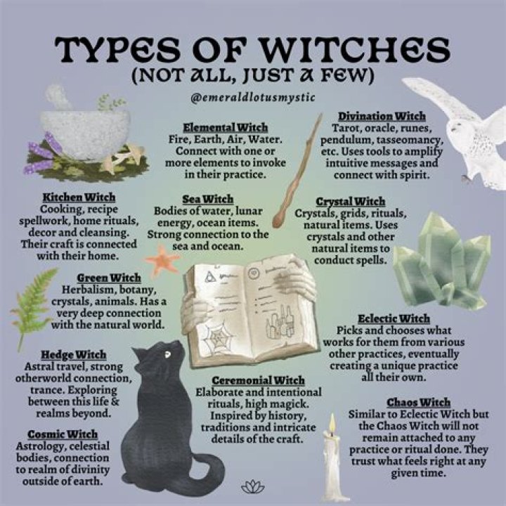 What does Witch do in TOS?
