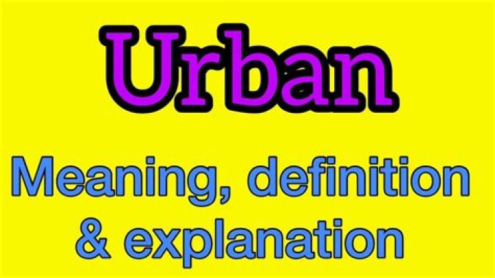 What does wonk mean urban dictionary?
