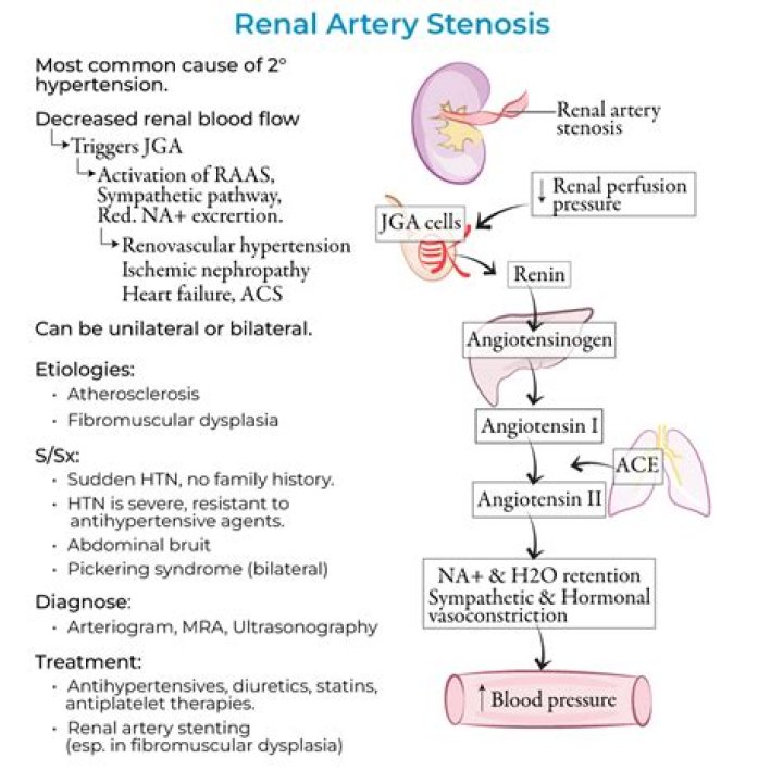 What drugs are contraindicated in renal artery stenosis?