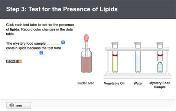 What dye is used to detect lipids?