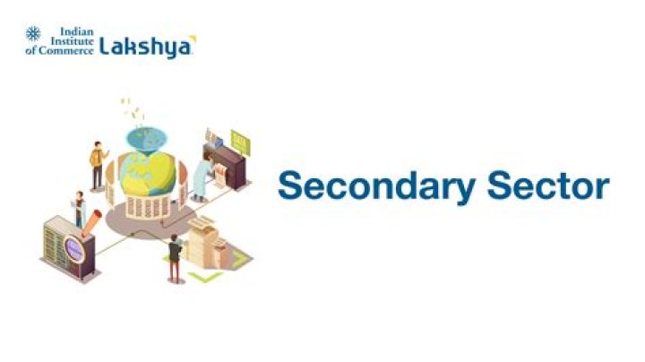 What economic sector is a lawyer in?
