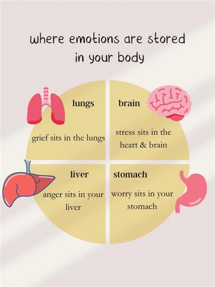 What emotions are stored in the lungs?