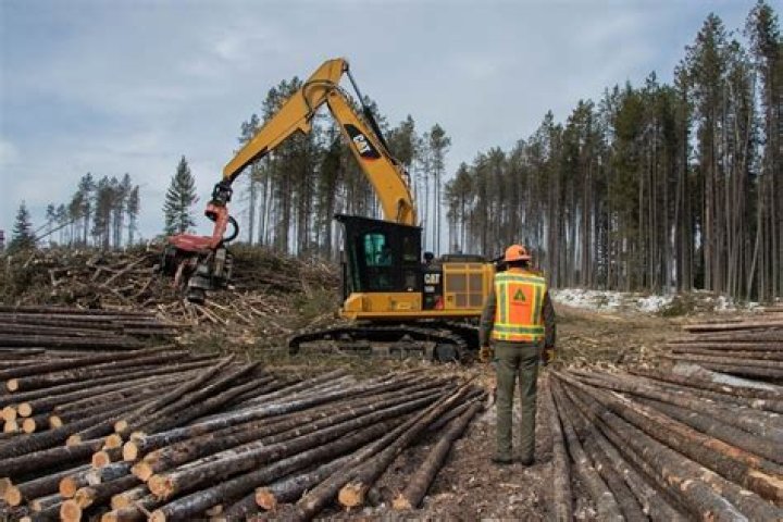What equipment do logging workers use?