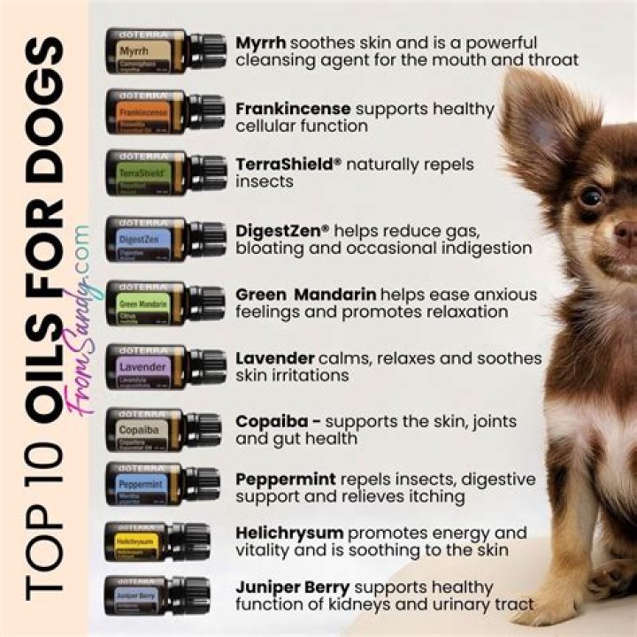 What essential oils are good for your colon?