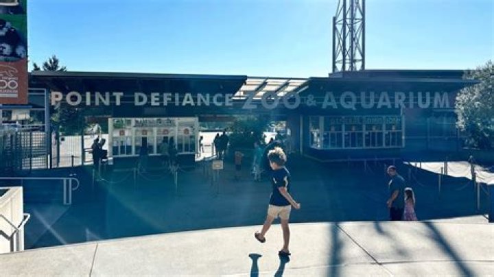 What exhibits are open at Point Defiance zoo?