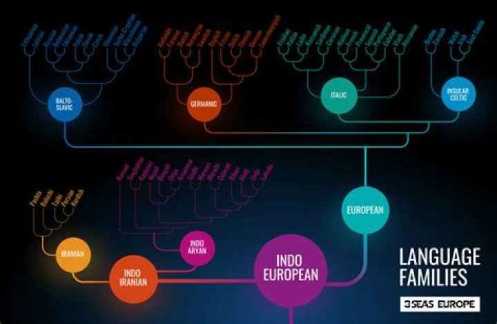 What family of languages does Latin belong to?