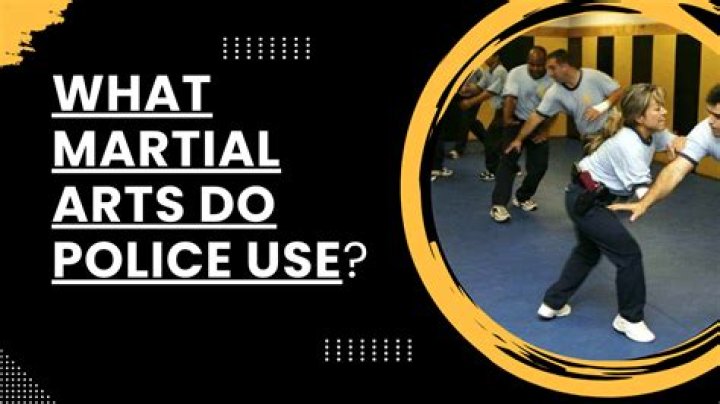 What fighting style do police use?