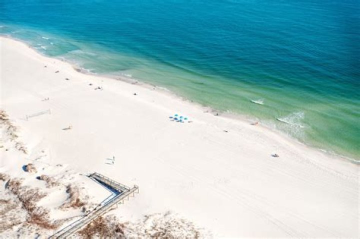 What fish are biting in Orange Beach Alabama?