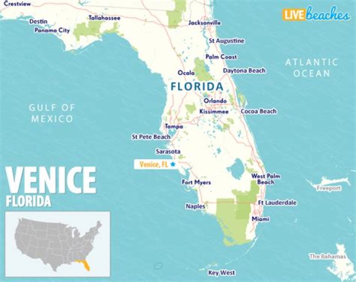 What Fish are biting in Venice Florida?