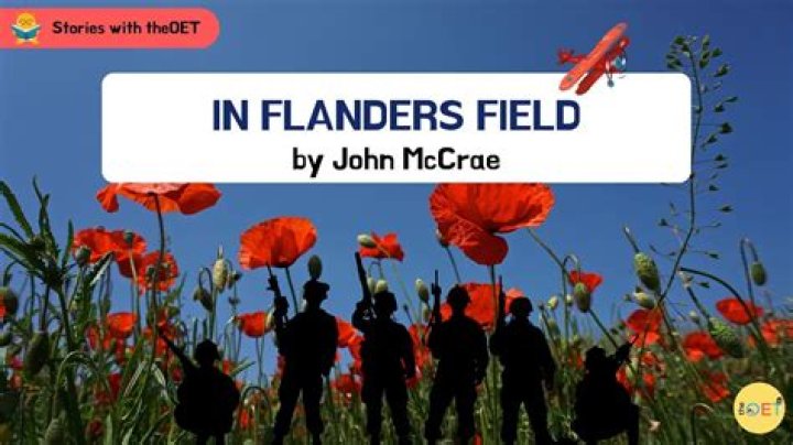 What flowers grow in Flanders Fields?