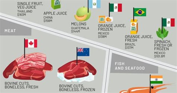 What food can you bring into China?