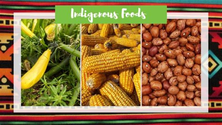 What foods do Navajo Indians eat?