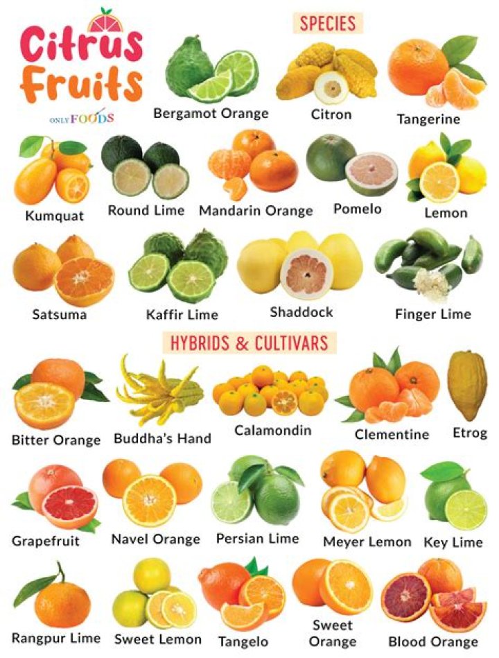 What fruits are in the myrtaceae family?