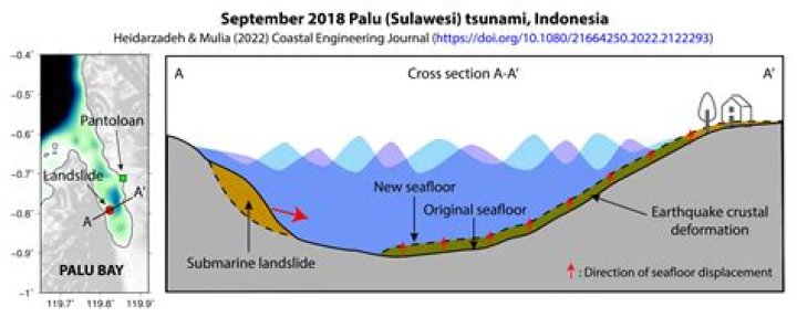 What happened in the Palu tsunami?