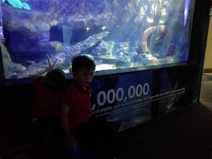 What happened Manly Aquarium?