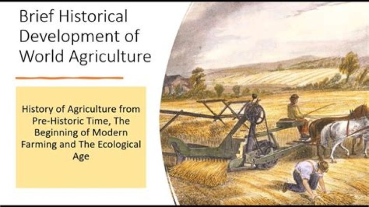 What happened to agriculture in the 1800s?