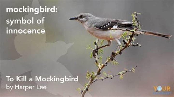 What happened to Dill in To Kill a Mockingbird?