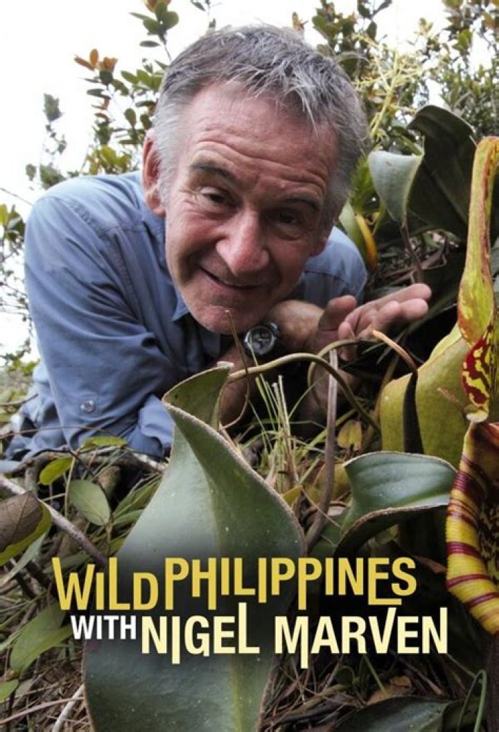 What happened to Nigel Marven?