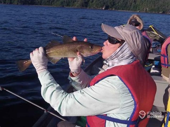 What happened to the cod fisheries in Newfoundland?