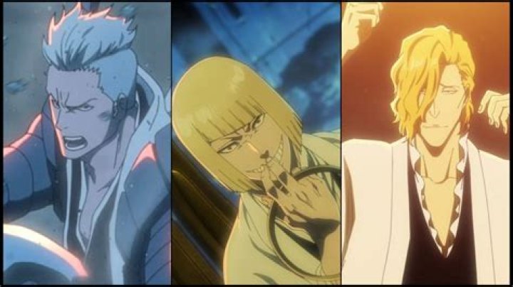 What happened to the vizards in bleach?
