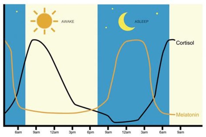 What happens if cortisol is high at night?