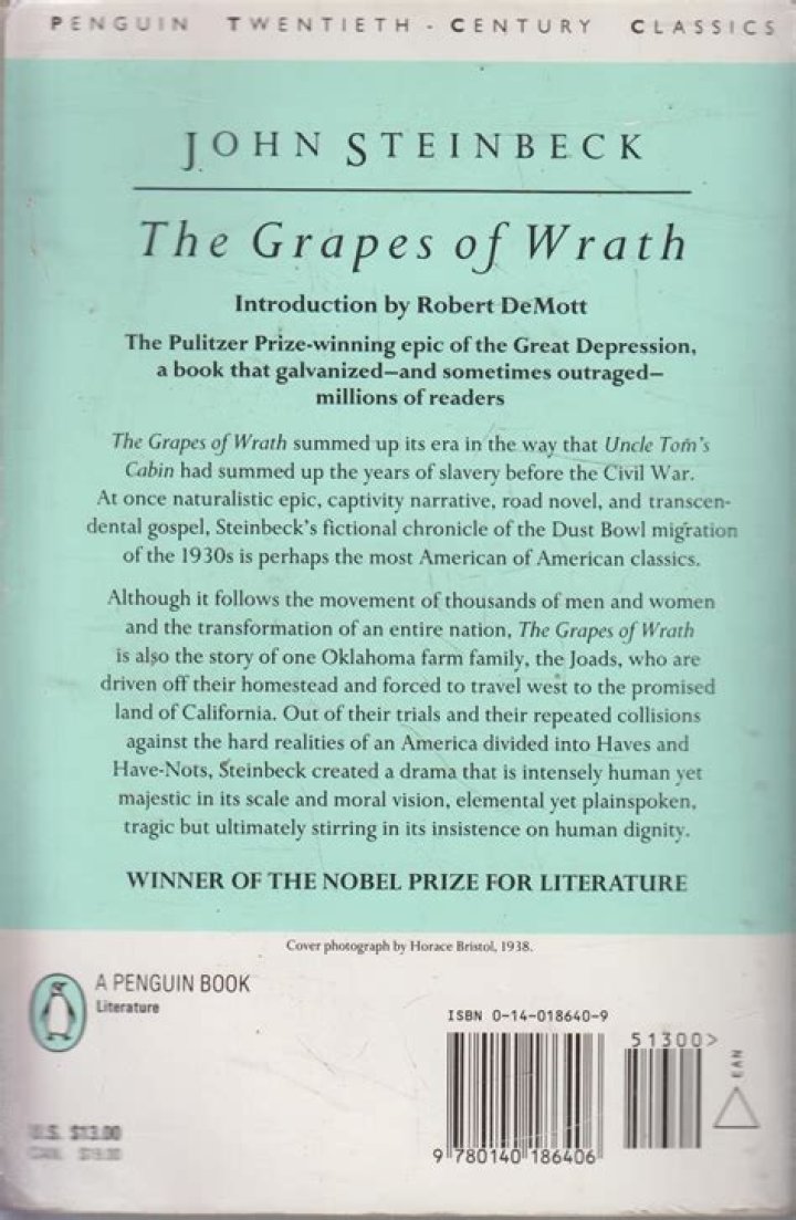 What happens in chapter 20 of Grapes of Wrath?