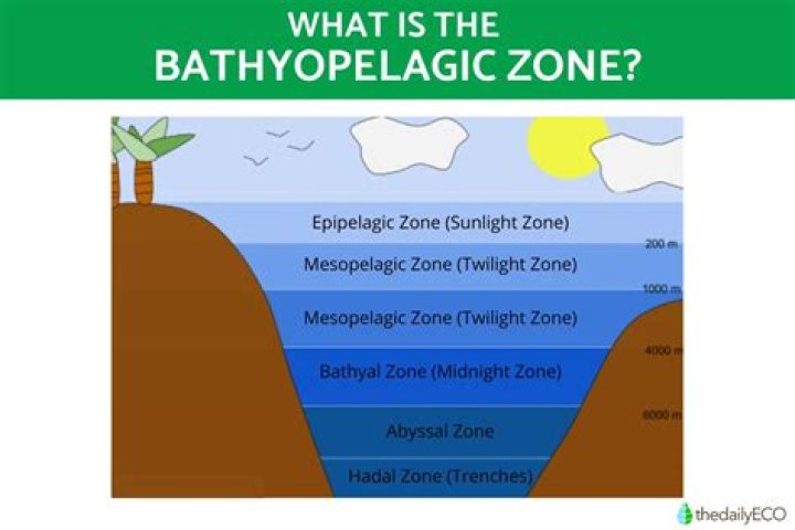What happens in the bathypelagic zone?