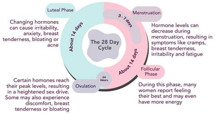 What happens on day 21 of your cycle?
