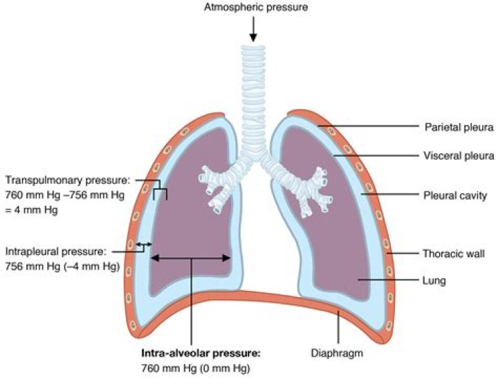 What happens to intrapulmonary pressure during an asthma attack?