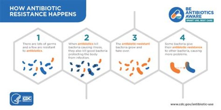 What happens when antibiotics are overdose?