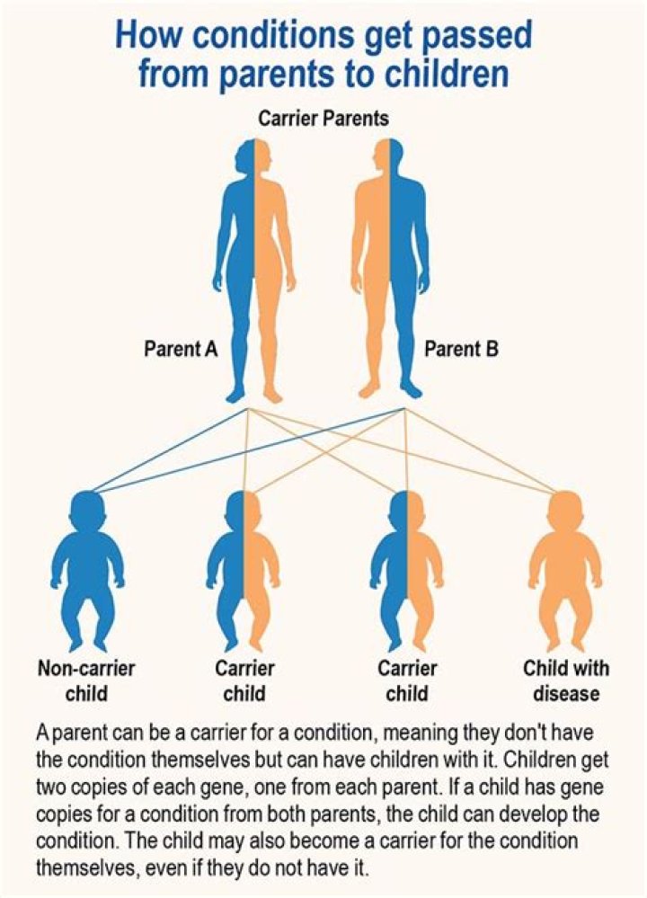 What happens when both parents are dead?