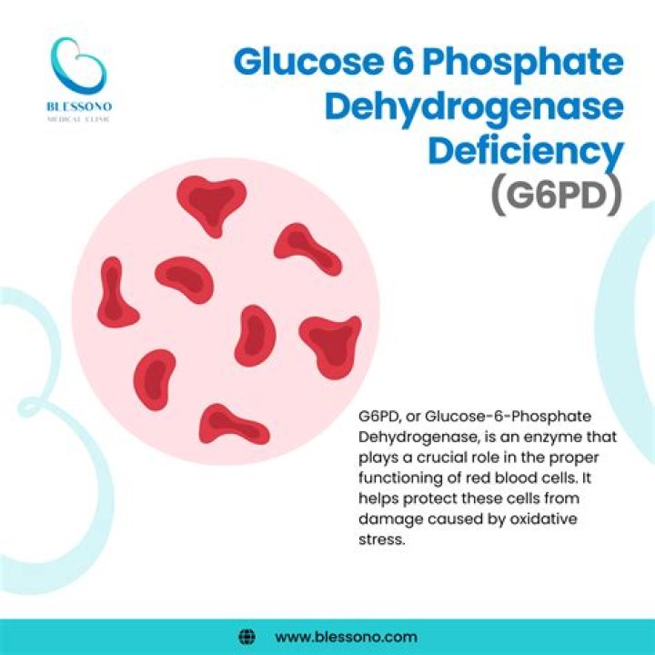 What happens when glucose-6-phosphatase is absent from the body?