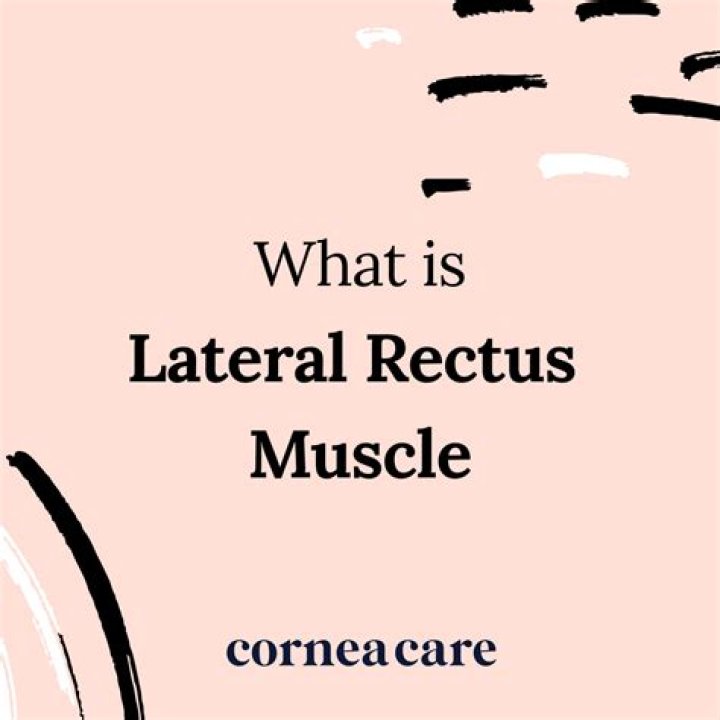 What happens when the lateral rectus muscle contracts?