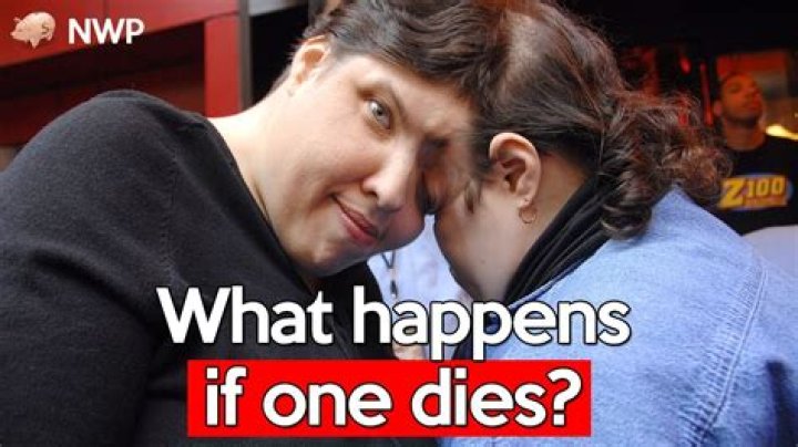 What happens when the plaintiff dies?