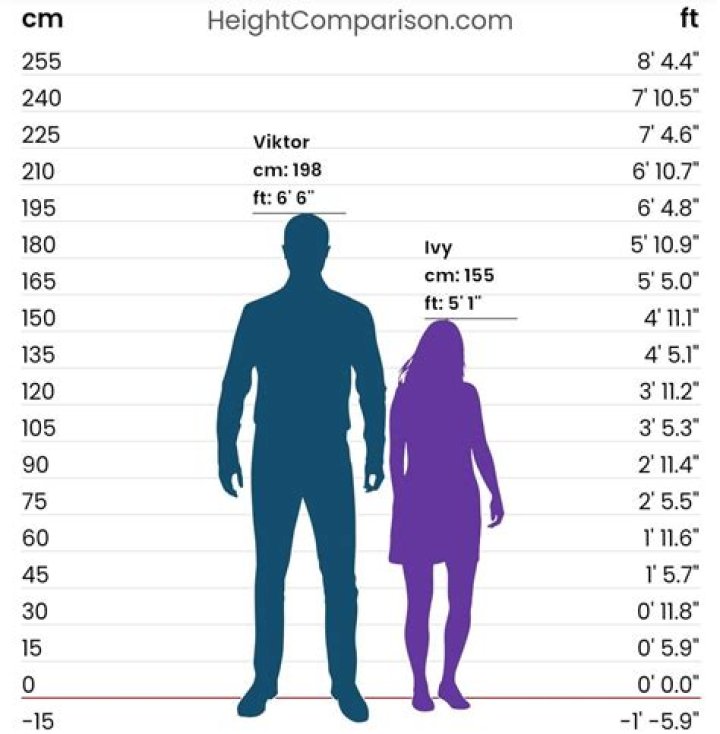 What height is 5ft 2 in CM?