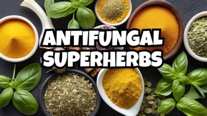 What herbs are antibacterial and antifungal?