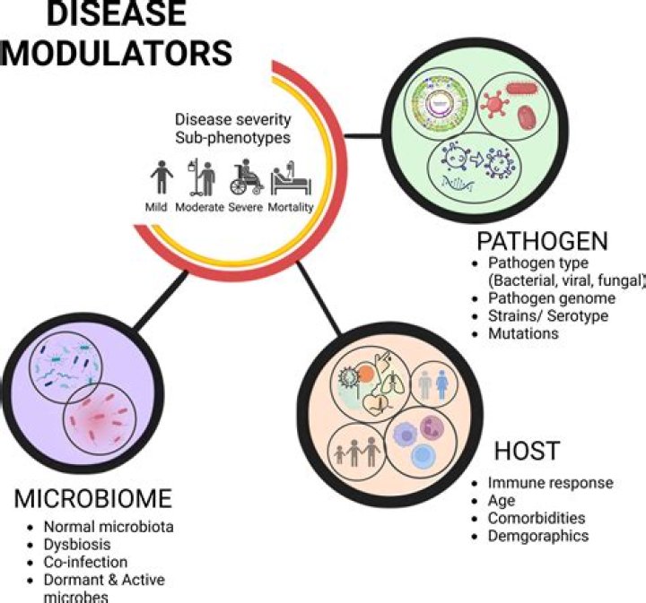 What human diseases are caused by microorganisms?