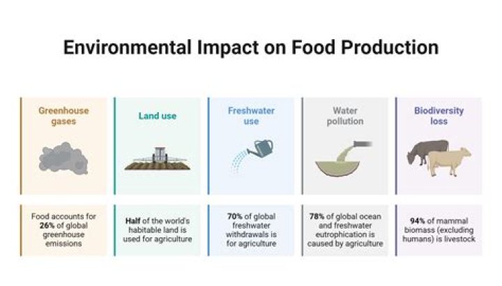 What impact does the food industry have?