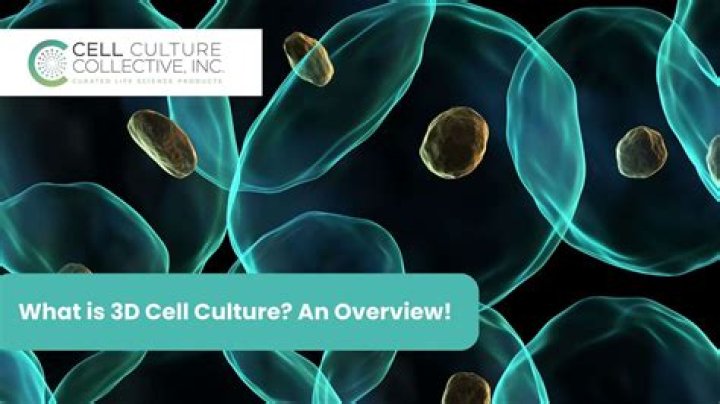 What is 3D cell culture system?