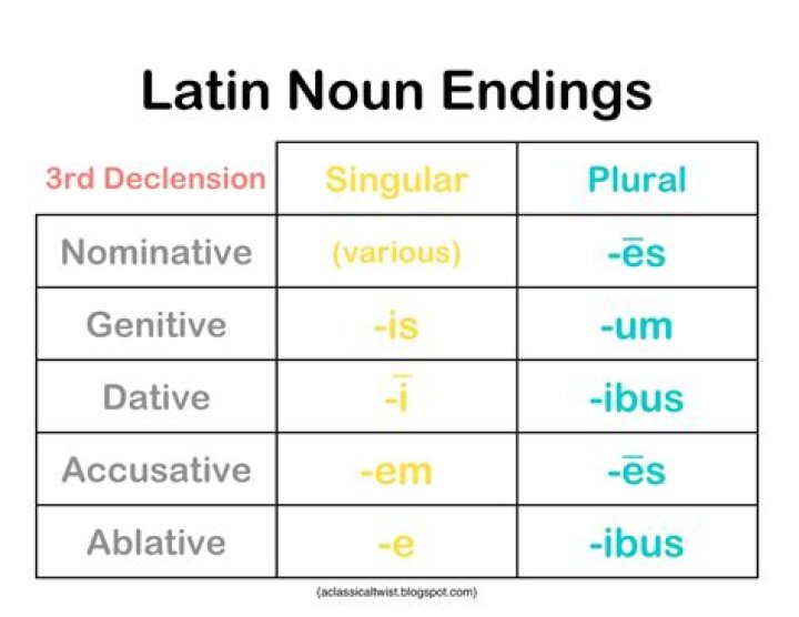 What is a 3rd declension noun in Latin?