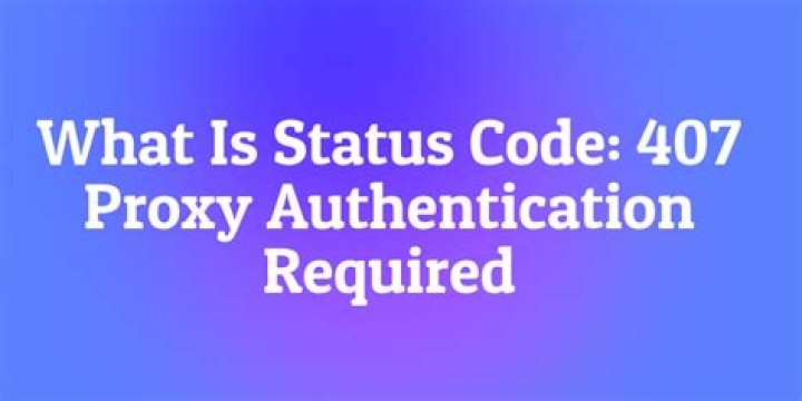 What is a 407 status code?