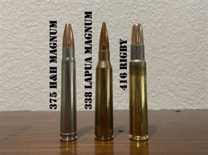 What is a 416 Rigby used for?