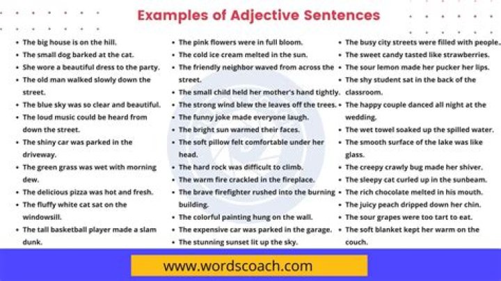 What is a adjective sentence example?