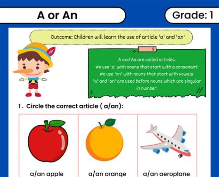 What is A and an called in grammar?