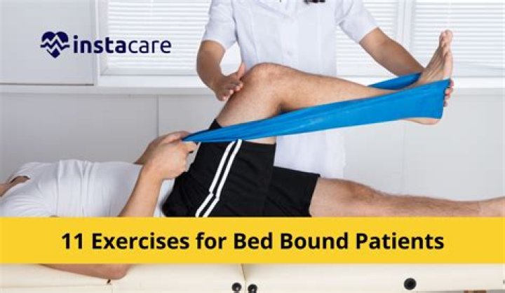 What is a bedbound definition?