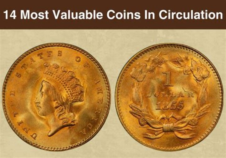 What is a bitten coin?